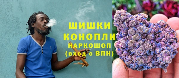 шишки Алексин
