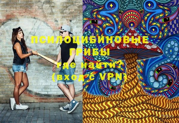шишки Алексин