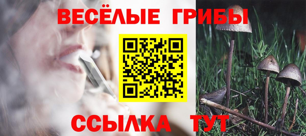 Галлюциногенные грибы мухоморы  Галлюциногенные грибы Psilocybe  Калач-на-Дону  Вход с VPN 